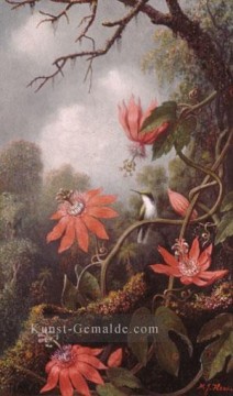  Johnson Malerei - Hummingbird und Passionsblumen romantischen Blume Martin Johnson Heade